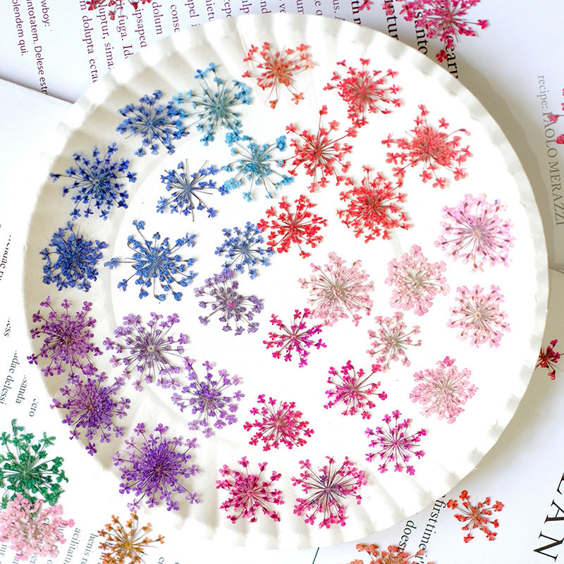 24pcs, 2-2.5cm, Nature Dyed Mi - огляд і ціна Resin Art And Jewelry