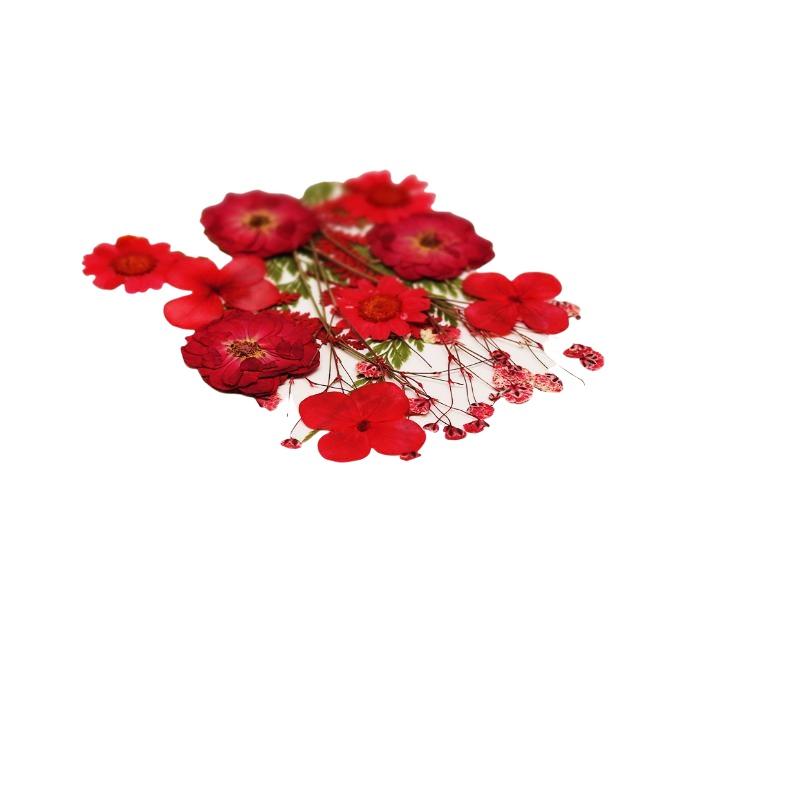 Real Natural Pressed Dried Pla - огляд і ціна Resin Art And Jewelry
