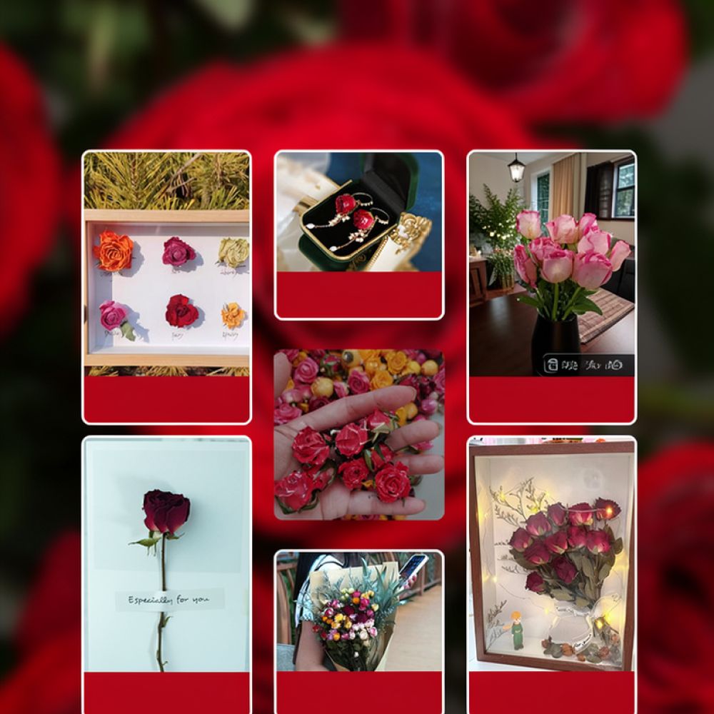 Natural Dried Rose Flower Bouq - огляд і ціна Resin Art For Rose